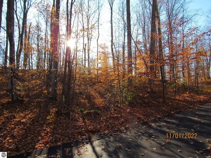 Land for sale in Grand Traverse County, Michigan
