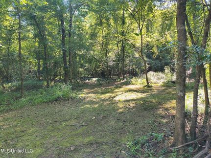 Land for sale in Jackson County, Mississippi