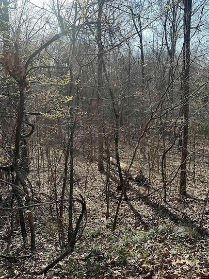 Homesite for sale in Sharp County, Arkansas