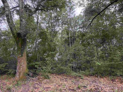 Land for sale in Covington County, Alabama