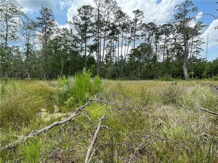 Homesite for sale in Saint Tammany Parish, Louisiana