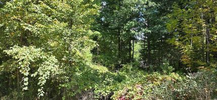 Homesite for sale in Gladwin County, Michigan