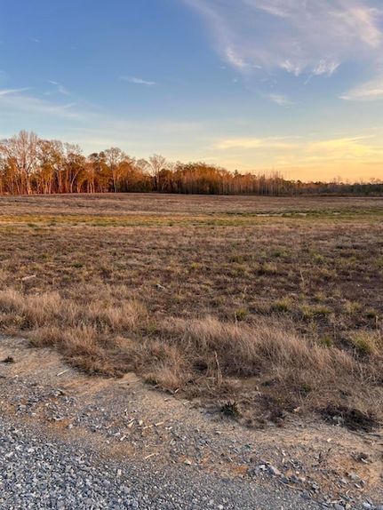 Land for sale in Wayne County, Mississippi