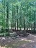 Land for sale in Greenwood County, South Carolina