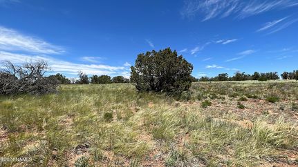 Land for sale in Coconino County, Arizona