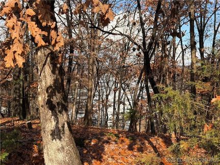 Land for sale in Camden County, Missouri