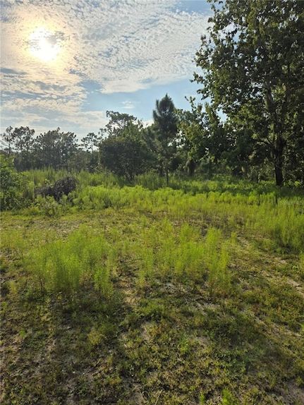 Land for sale in Okeechobee County, Florida