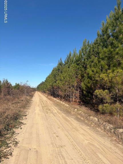 Land for sale in Hampton County, South Carolina