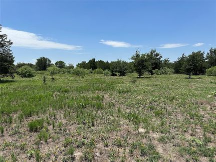 Undeveloped Land for sale in Bastrop County, Texas