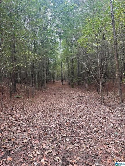 Homesite for sale in Saint Clair County, Alabama