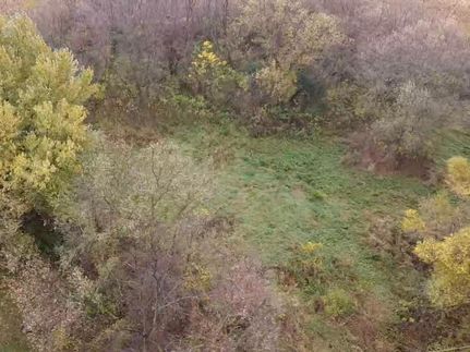 Land for sale in Dodge County, Minnesota