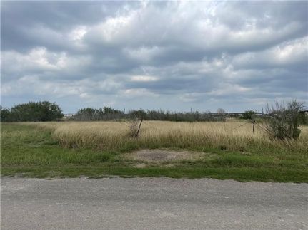 Land for sale in Jim Wells County, Texas