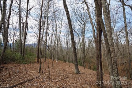 Land for sale in McDowell County, North Carolina