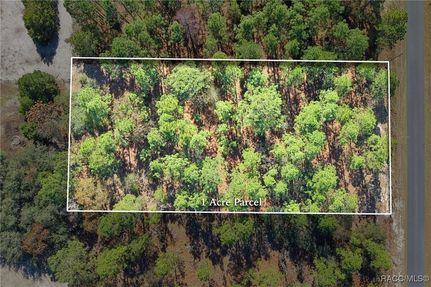 Land for sale in Levy County, Florida