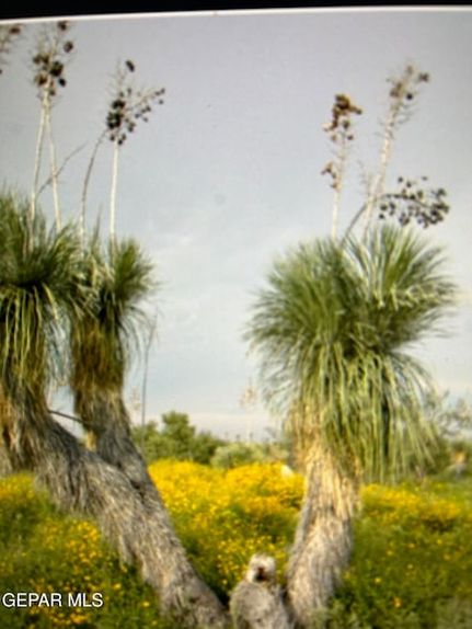 Land for sale in Hudspeth County, Texas