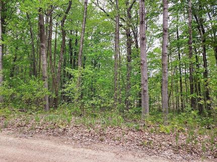 Land for sale in Clare County, Michigan