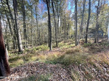 Homesite for sale in Luzerne County, Pennsylvania