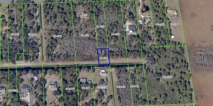 Land for sale in Orange County, Florida