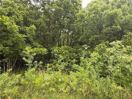 Land for sale in Camden County, Missouri