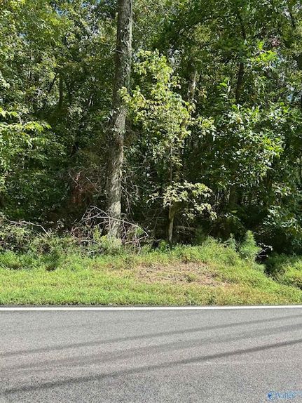 Land for sale in Madison County, Alabama