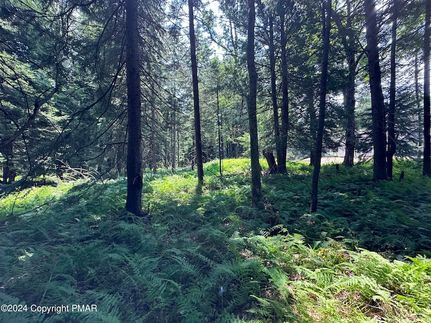 Homesite for sale in Monroe County, Pennsylvania