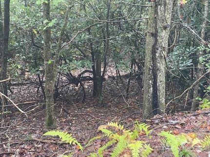 Land for sale in Transylvania County, North Carolina