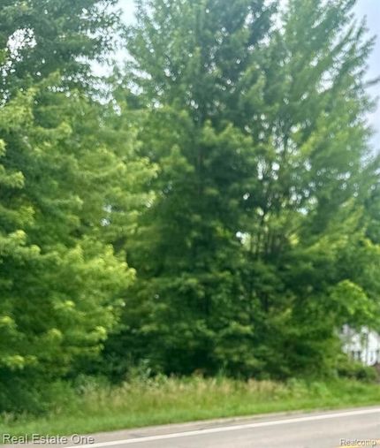 Land for sale in Wayne County, Michigan