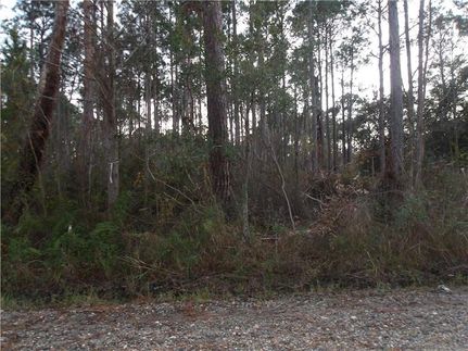 Land for sale in Mobile County, Alabama