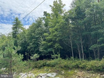 Homesite for sale in Luzerne County, Pennsylvania