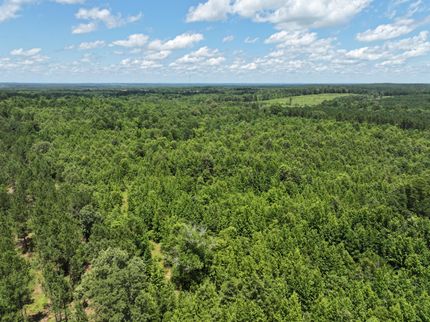 Land for sale in Harrison County, Texas