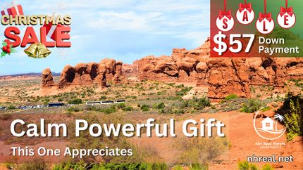 Undeveloped Land for sale in Navajo County, Arizona