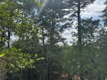 Homesite for sale in Bastrop County, Texas