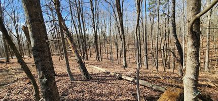 Land for sale in Meigs County, Ohio