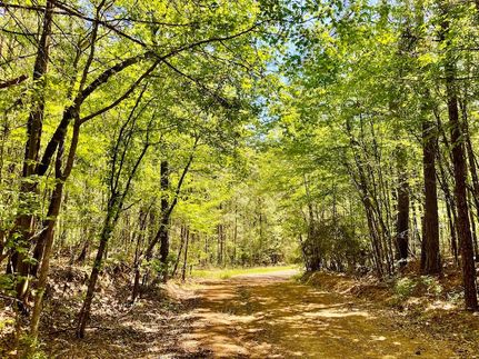 Land for sale in Webster Parish, Louisiana