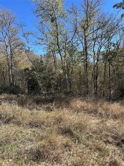 Land for sale in Bastrop County, Texas
