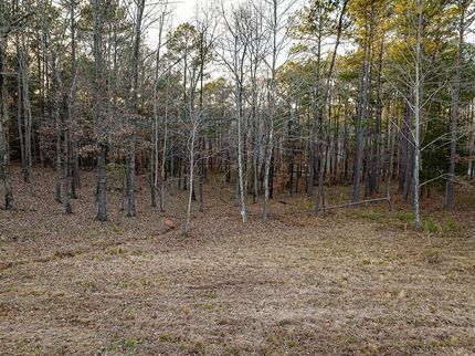 Land for sale in Carroll County, Tennessee