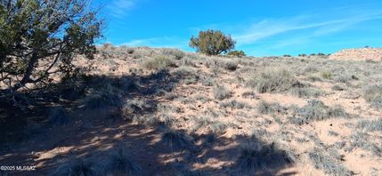 Homesite for sale in Apache County, Arizona
