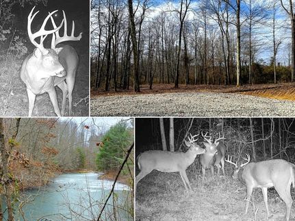 Land for sale in Perry County, Ohio