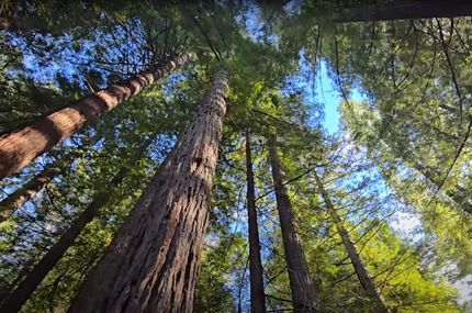 Land for sale in Humboldt County, California