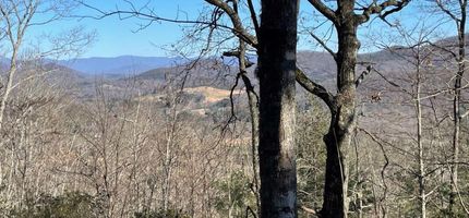 Land for sale in Union County, Georgia