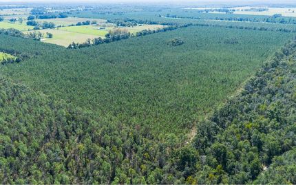 Land for sale in Suwannee County, Florida