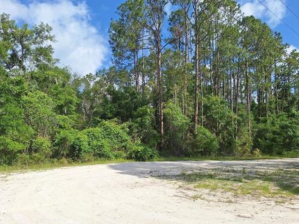 Undeveloped Land for sale in Dixie County, Florida