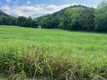 Land for sale in Cumberland County, Kentucky