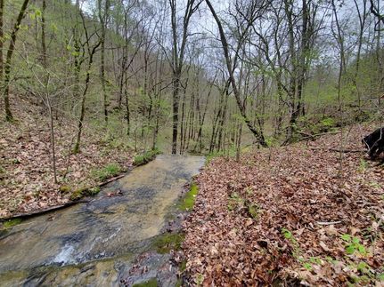 Undeveloped Land for sale in Perry County, Tennessee