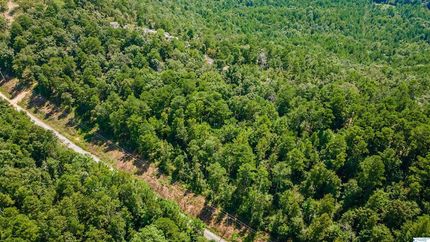 Land for sale in Cherokee County, Alabama