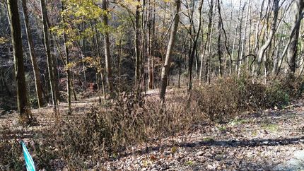 Homesite for sale in DeKalb County, Tennessee