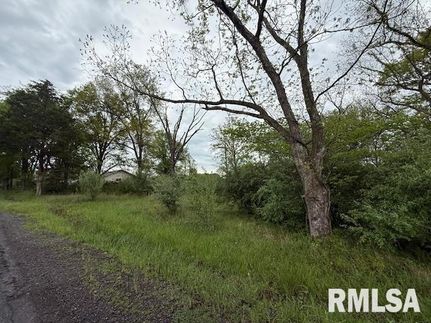 Land for sale in Williamson County, Illinois