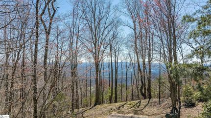 Land for sale in Greenville County, South Carolina