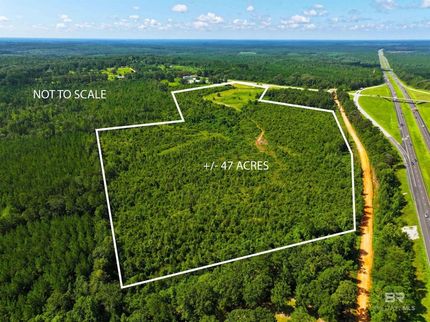 Land for sale in Conecuh County, Alabama
