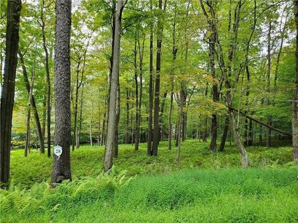 Homesite for sale in Monroe County, Pennsylvania